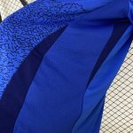 BRAZIL BLUE JESUS STATUE KIT - Image 7