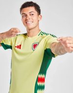 WALES 2024 AWAY JERSEY - Image 2