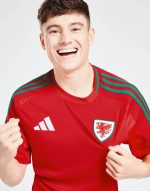 WALES 2024 HOME JERSEY - Image 2