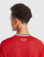 ADIDAS WALES 2026 HOME SHIRT JUNIOR - Image 4