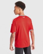 ADIDAS WALES 2026 HOME SHIRT JUNIOR - Image 5